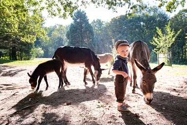 image by silke brenner photographie